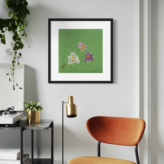 Framed watercolor on jade green paper showing white, purple. and violet crocuses, closeup view